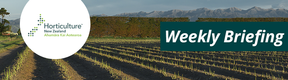 2021-09-16 Asparagus banner 2021-09-16 Asparagus banner